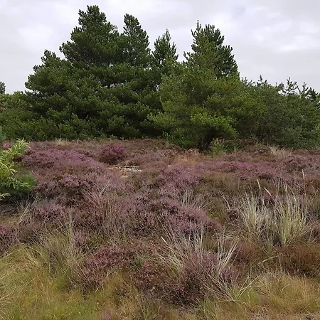 Pet-friendly Romo Getaway Apartmán *