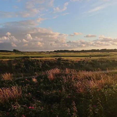 Pet-friendly Romo Getaway Sønderby