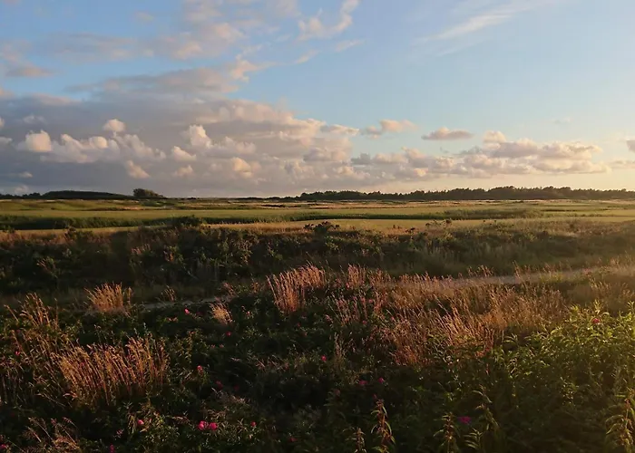 Pet-friendly Romo Getaway Sønderby
